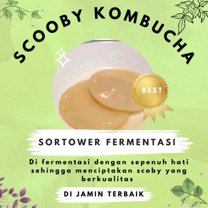 

Scoby+Starter Fermentasi Teh Kombucha