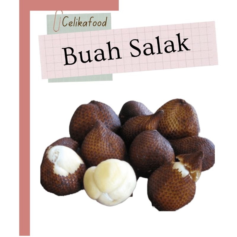

Buah Salak Pondok 500 gr Fresh Snakefruit