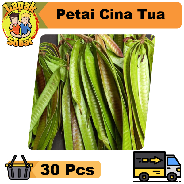 

Petai Cina Tua Pete Lamtoro 30 Pcs
