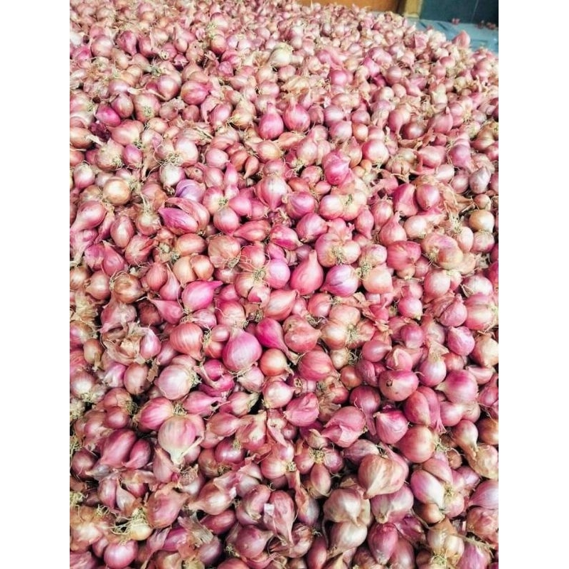 

bawang merah Nganjuk super 1kg