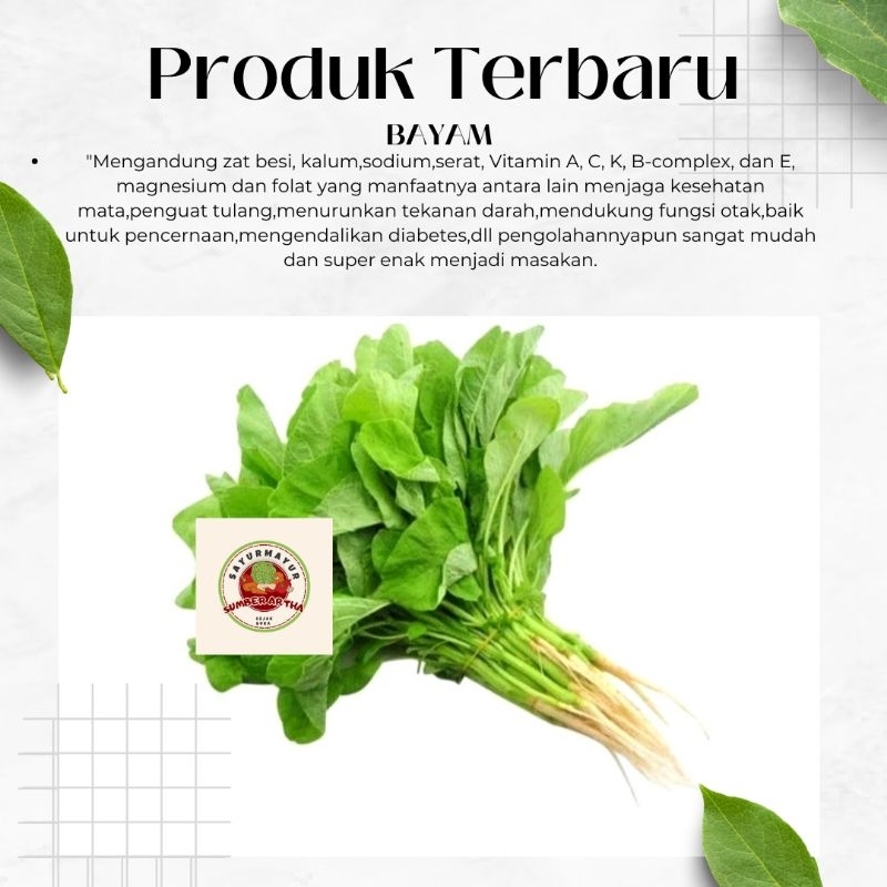 

Sayur Fresh 1Ikat Bayam segar murah fast delivery