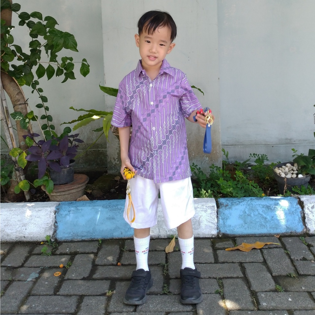 Kemeja Batik Anak Laki Perempuan Seragam Sekolah TK SD 3247 2 - 12 Tahun Lereng Ungu