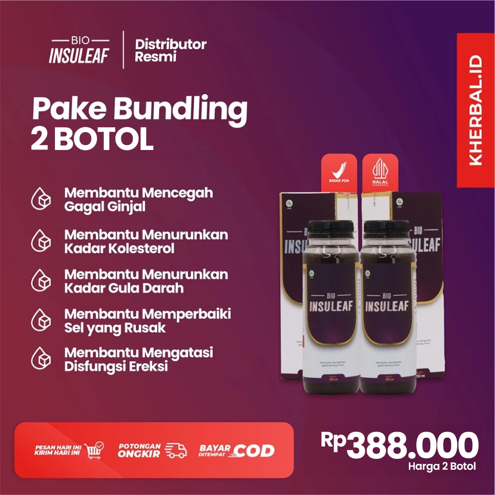 

Paket 2 Box Bio Insuleaf - 3x Lebih Ampuh Turunkan Gula Darah Herbal Alami Berkhasiat Mengimbangi Insulin Turunkan Gula Darah, Resiko Komplikasi, Kolesterol dan Menurunkan Kadar Gula. Mengatasi Kencing Manis, Diabetes Melitus dan Mencegah Gagal Ginjal.