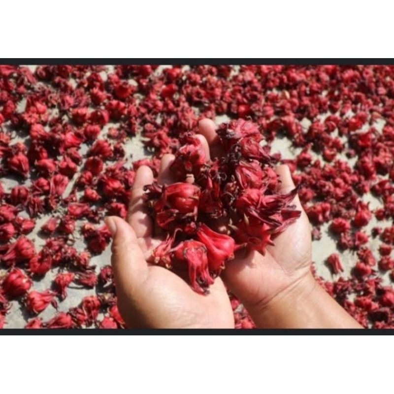 

bunga Rosella kering 250gram