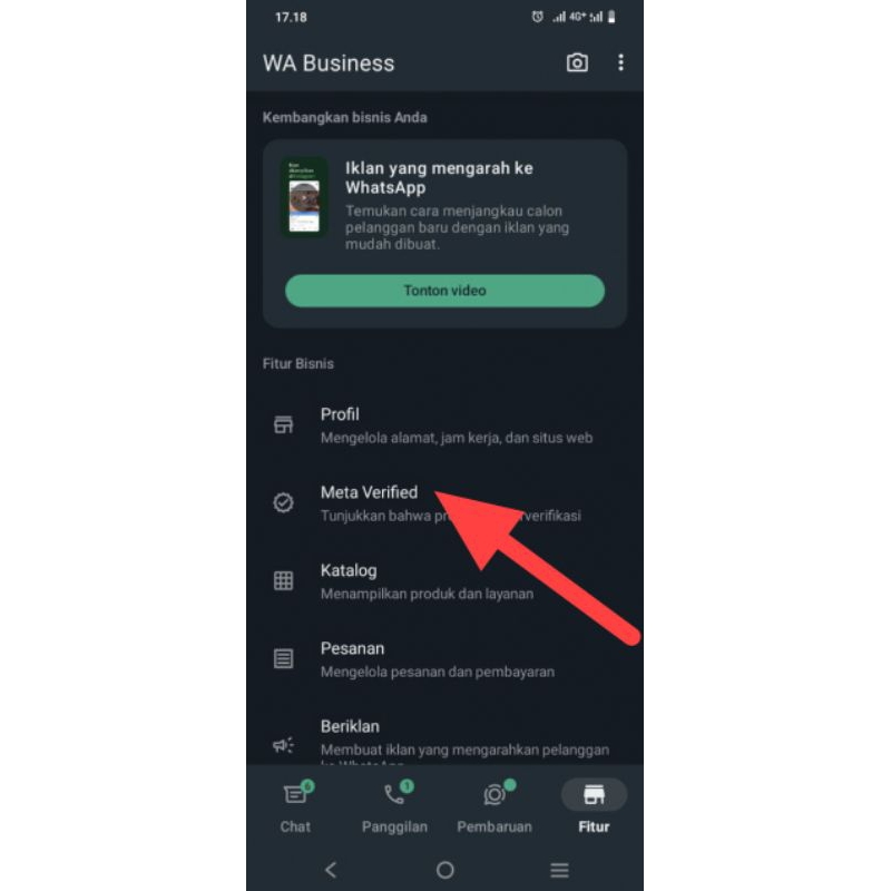 WhatsApp Centang Biru