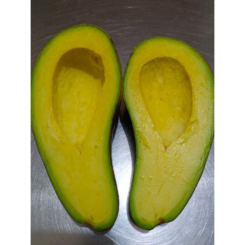 

Alpokat Linggau Jumbo Premium