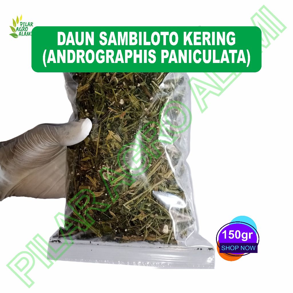 

Sambiloto kering asli 150gr sudah dicacah