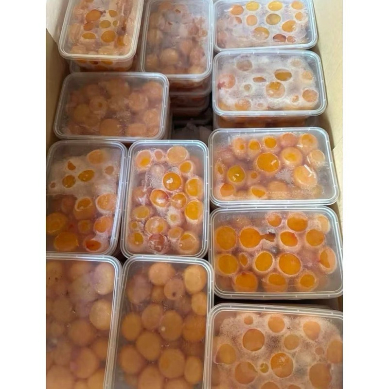 

Uritan Telur Ayam Muda Frozen Box