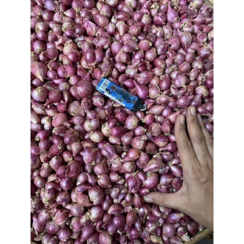 

bawang merah ukuran sedang campur kecil 1kg / 1kilo gram (J)