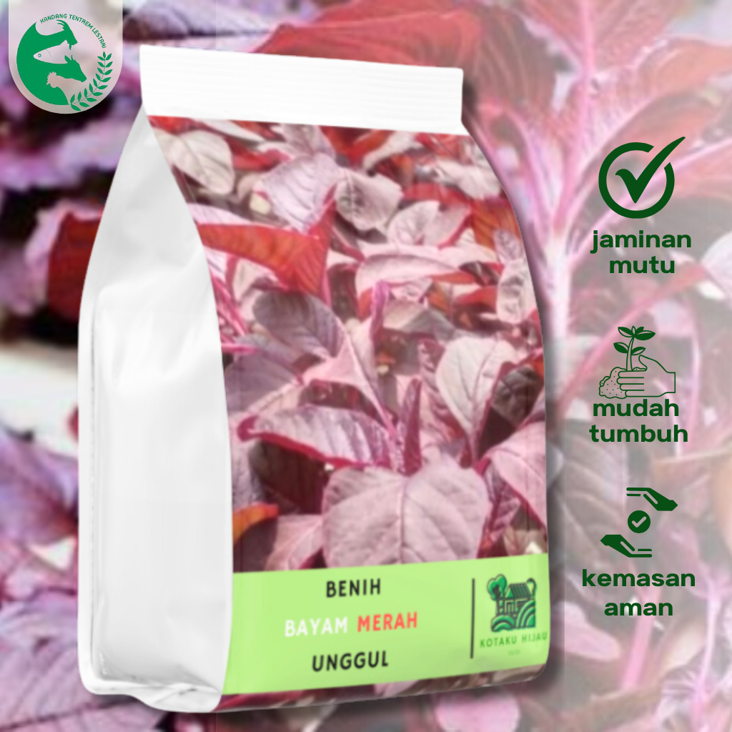 Benih Bayam Merah 1 kg  Kotaku Hijau Unggul Nutrisi Tinggi