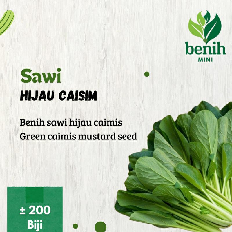 

Sawi Hijau Caimis Sayur Sayuran