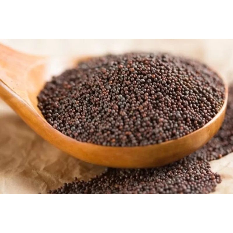 

500 GRAM BIJI SAWI - BENIH SAWI - BIBIT SAWI - BLACK MUSTARD SEEDS