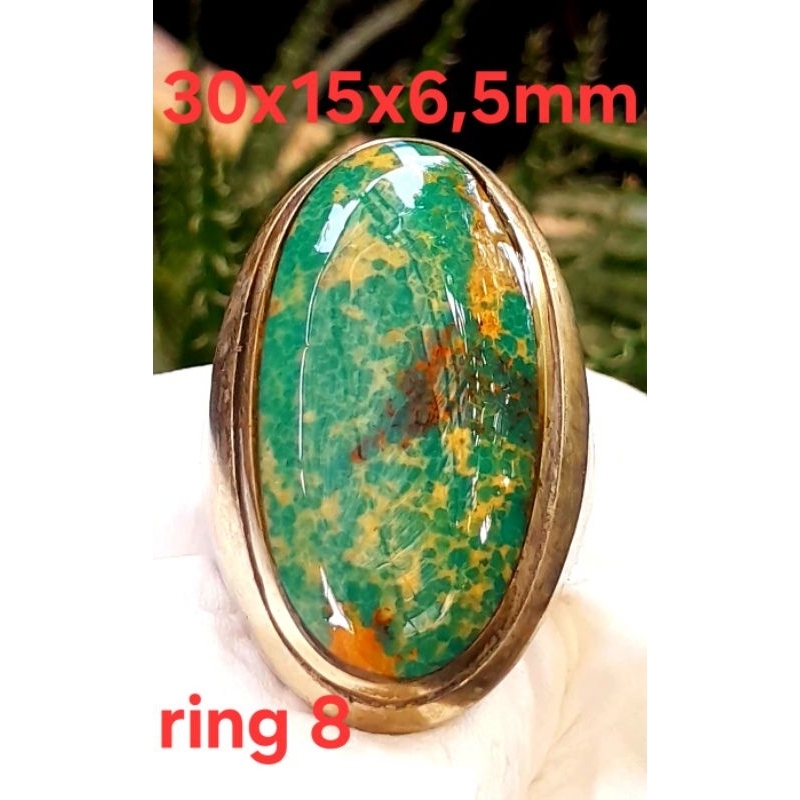 Pirus Persia Neyshabur Hijau beras wutah urat emas jumbo