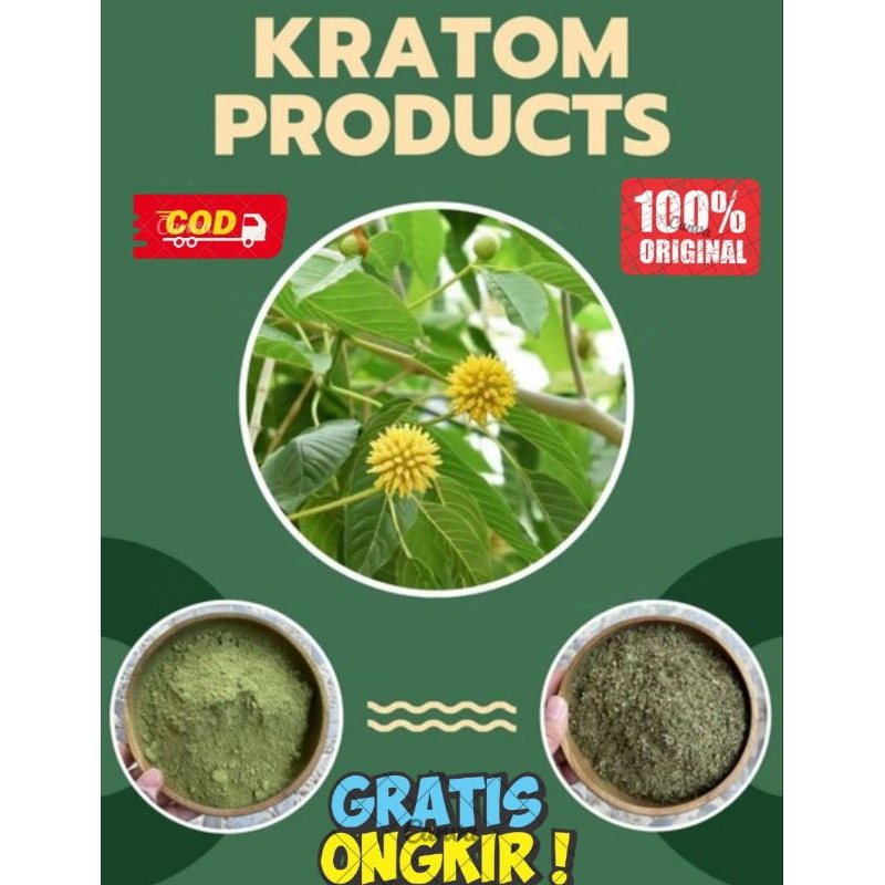

Bubukpurli bubuk daun purlik asli kalimantan