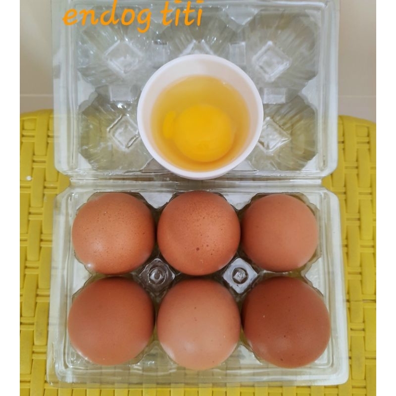 

(surabaya only) telor ayam negeri /horen per pack 4 biji dan 6 biji ready lgs kirim