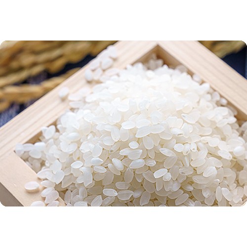 

Beras Jepang / Beras sushi Japonica rice HAKUMAI 1Kg Kemasan Repack Premium Original