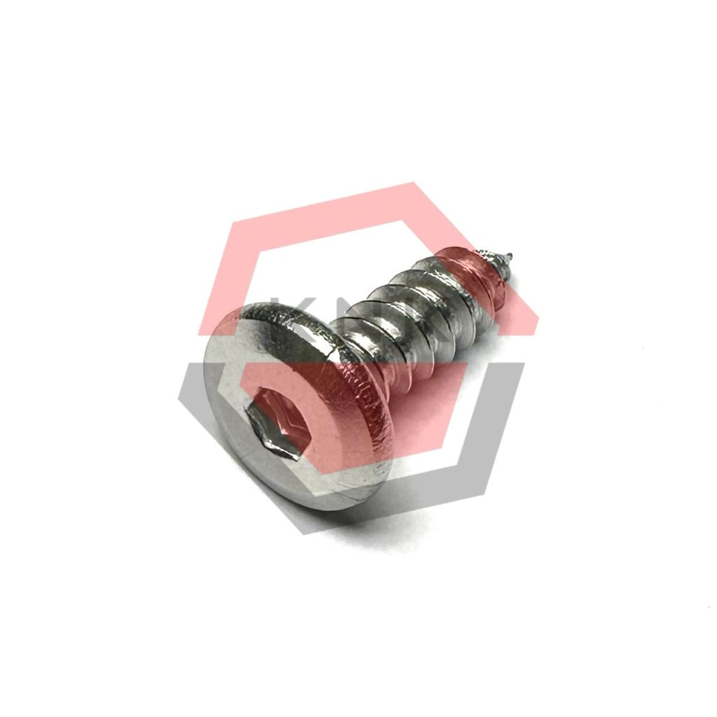 SKRUP BODY MOTOR 5x16 STAINLESS STEEL CHAMFERED HEAD