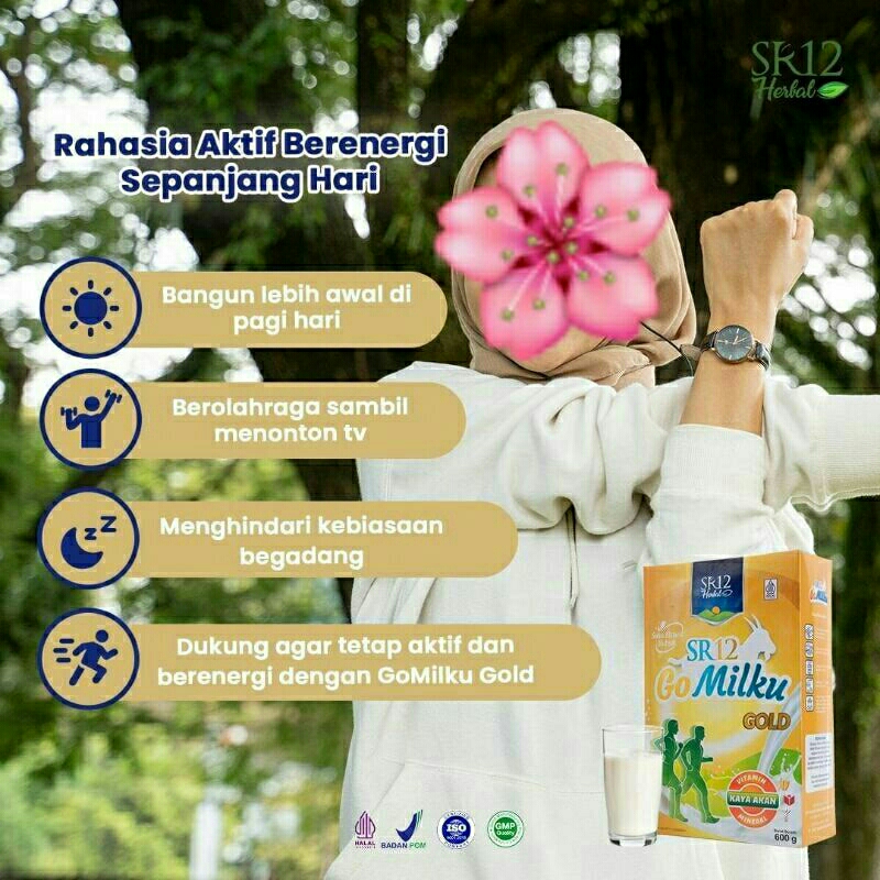 

susu goMilku gold