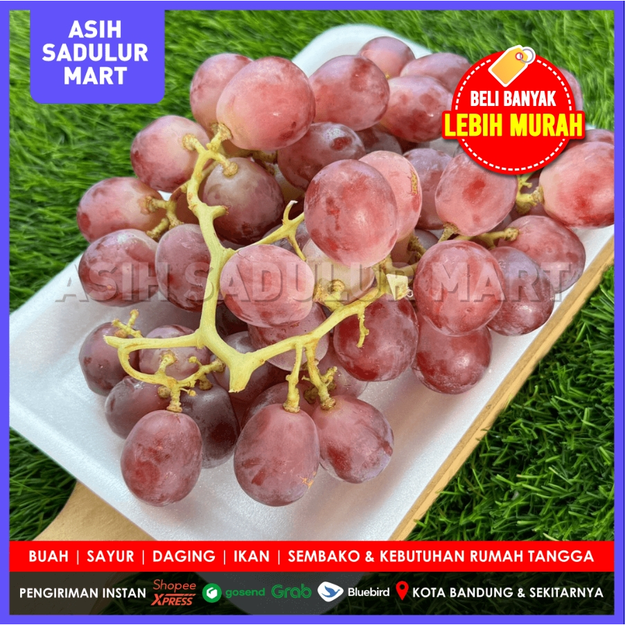 

Anggur Merah Import 250gr / 500gr / 1kg Red Globe / Black Autumn / Muscat Buah Segar Bandung | Asih Sadulur Mart