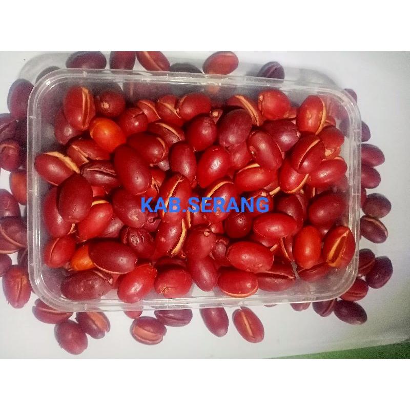 

Kulit Melinjo Segar 100% Original Ambil Dari Petani Langsung