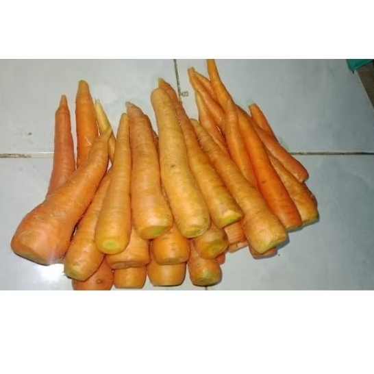 

Caby_Snacks Wortel 1kg Termurah Langsung Dari Petani Pasuruan