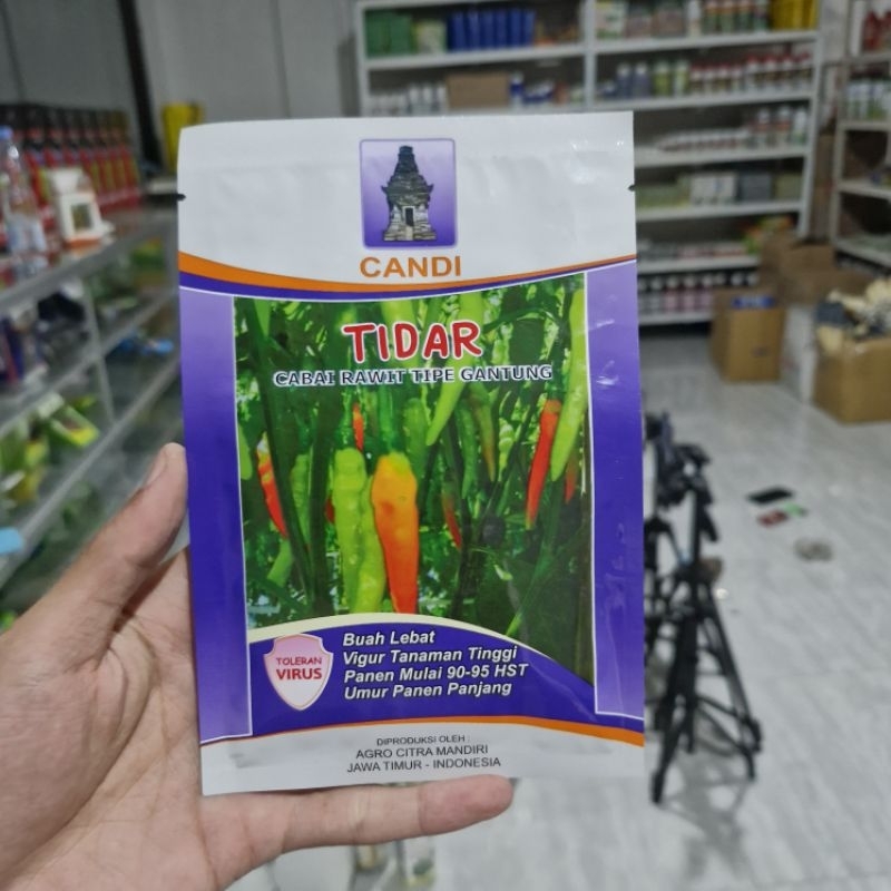 Benih Cabe Rawit TIDAR 10gr Buah Lebat