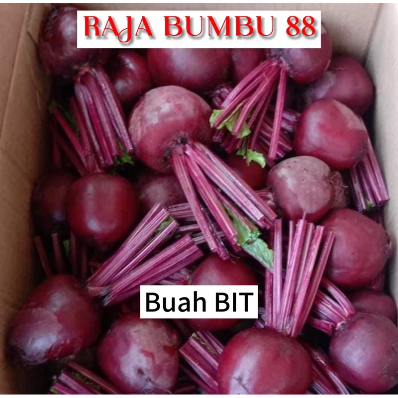 

BUAH BIT 1 Buah