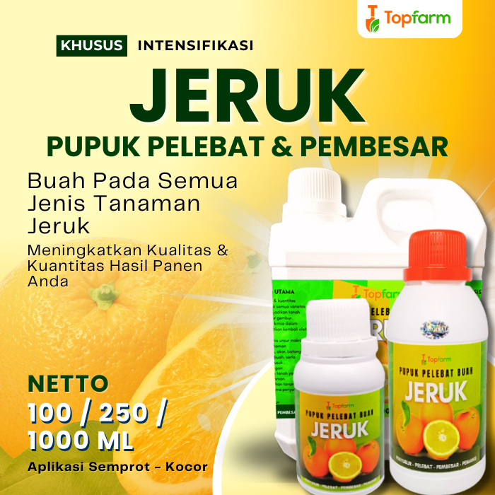 Pupuk Buah Jeruk Berbuah Lebat / Pupuk Buah Jeruk Super Lebat / Pupuk Booster Tanaman Buah Jeruk / P