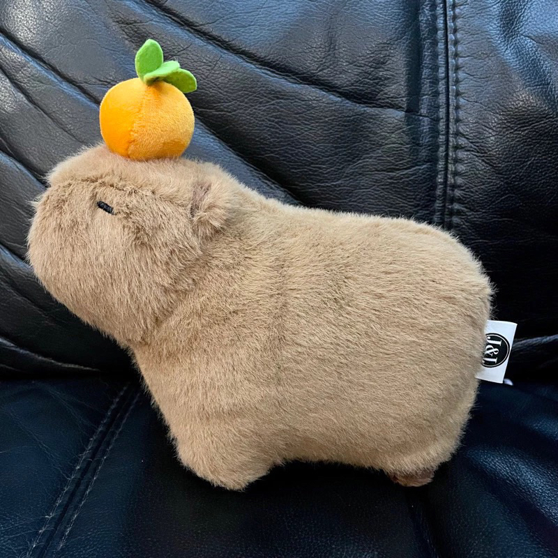 boneka capybara / boneka lucu / boneka kucing / boneka kkv / oh some