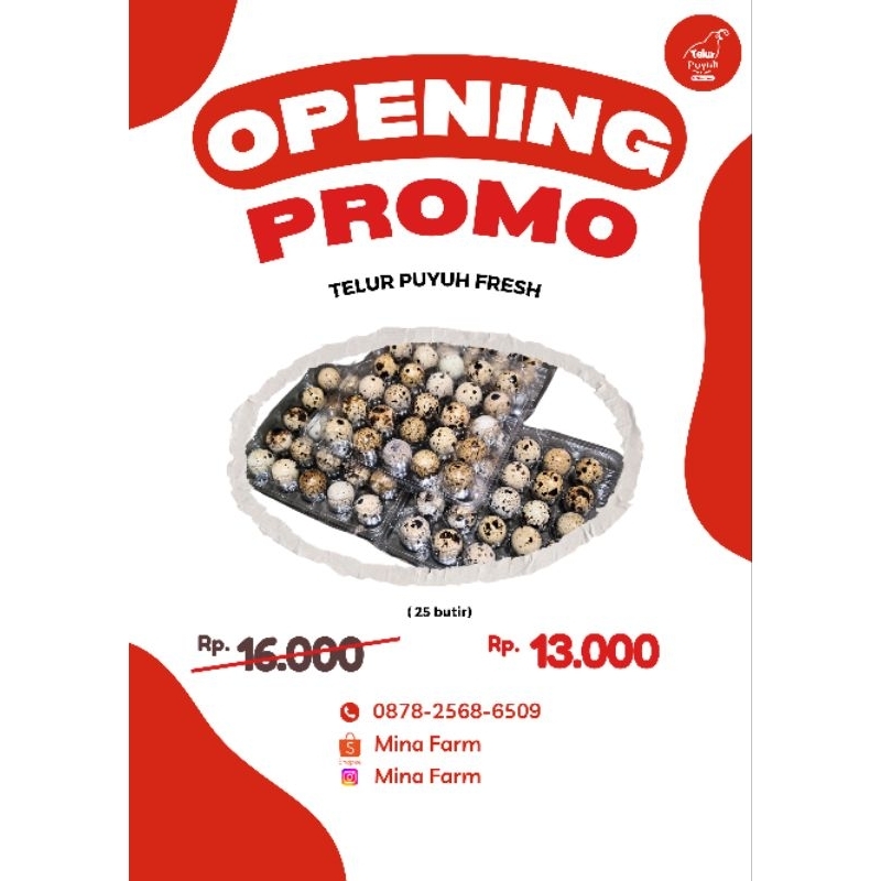 

Telur Puyuh Fresh