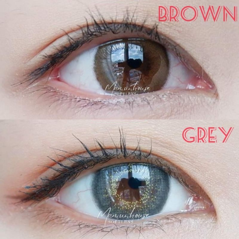 Softlens  Birkin Kitty Kawaii Birkin  (Natural Series) Gray Grey Brown Light Brown Soflens
