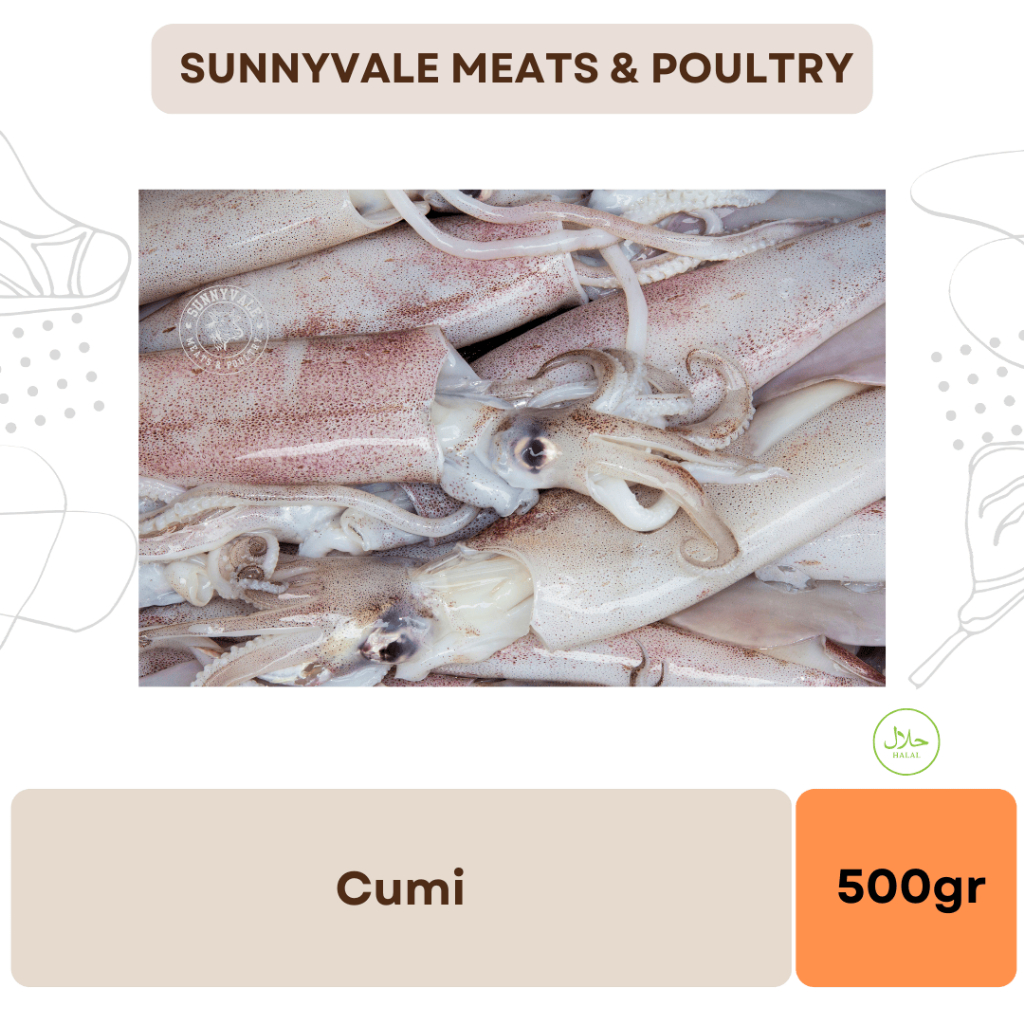 

Cumi Cumi Segar Lokal - 500 gr