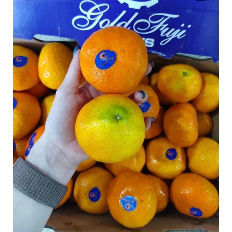 

Jeruk kupas Murcot Cina Early wogam 1 kardus 6 kg
