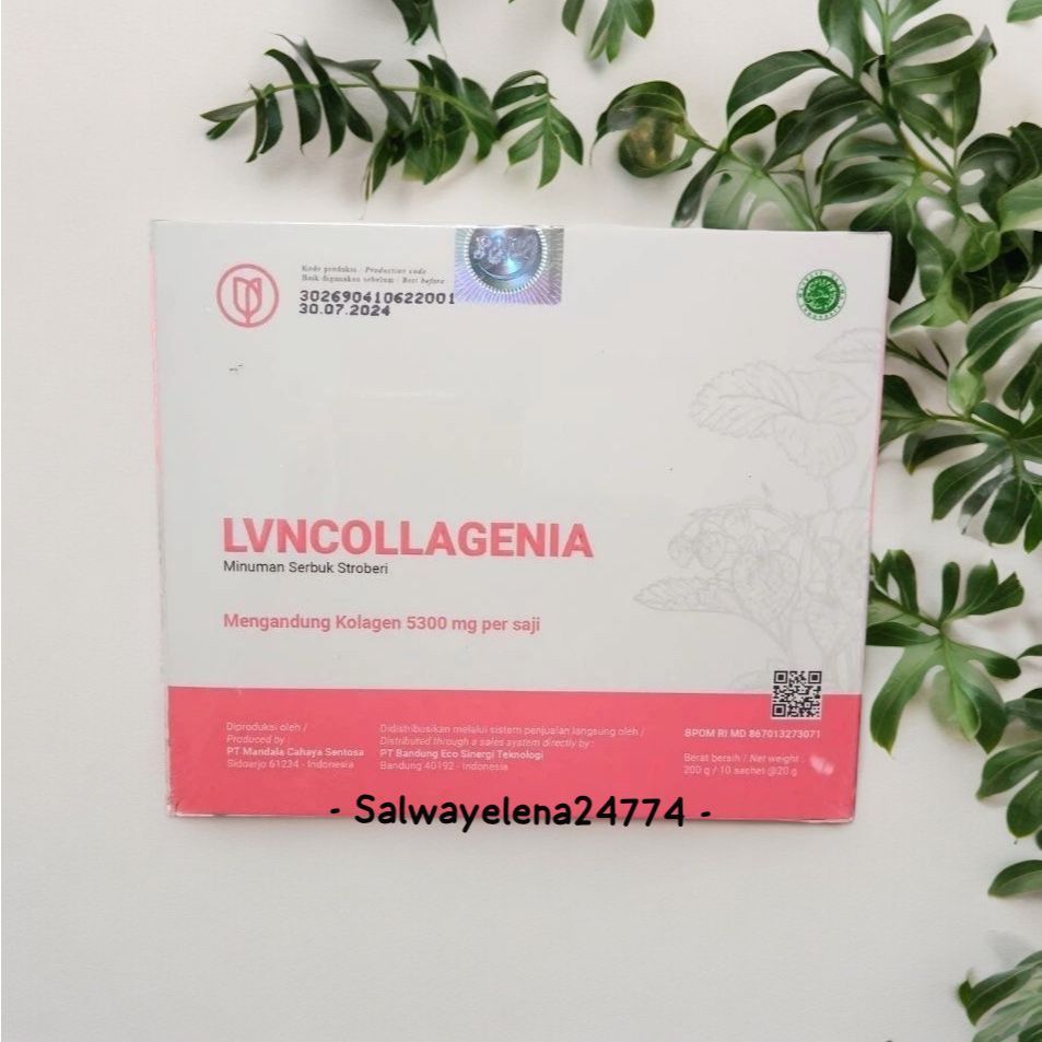 

LVN COLLAGENIA HARGA 1 BOX ISI 10 SACHET