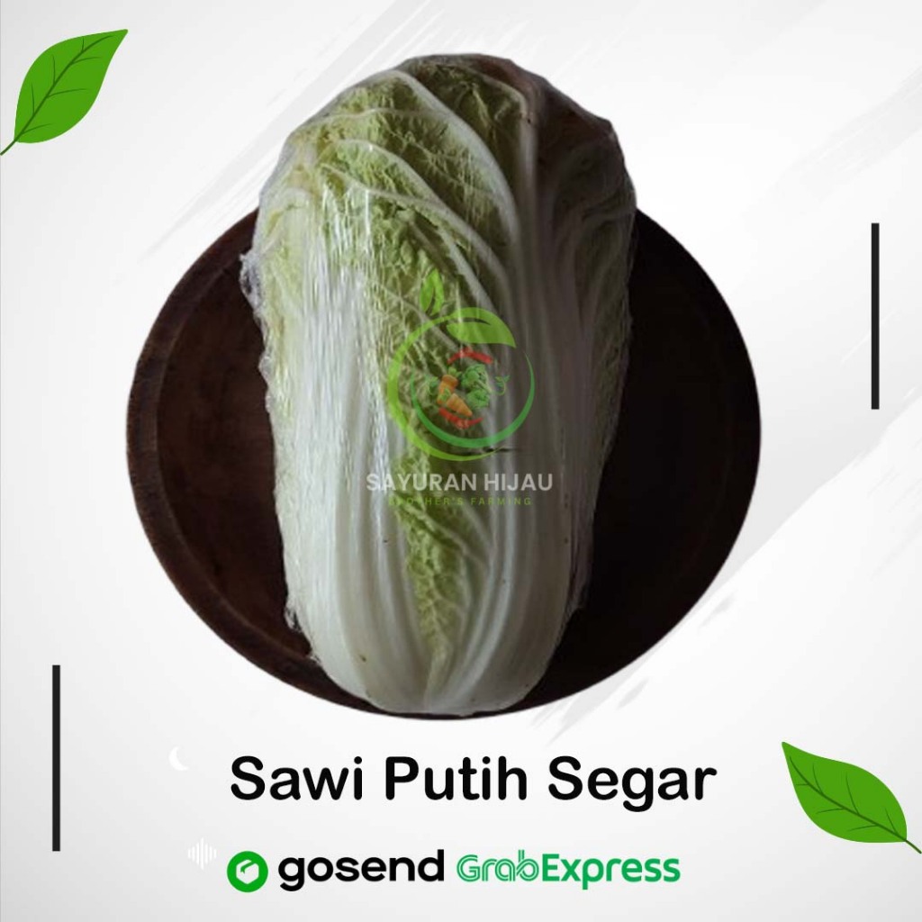

Sawi Putih Segar Berkualitas