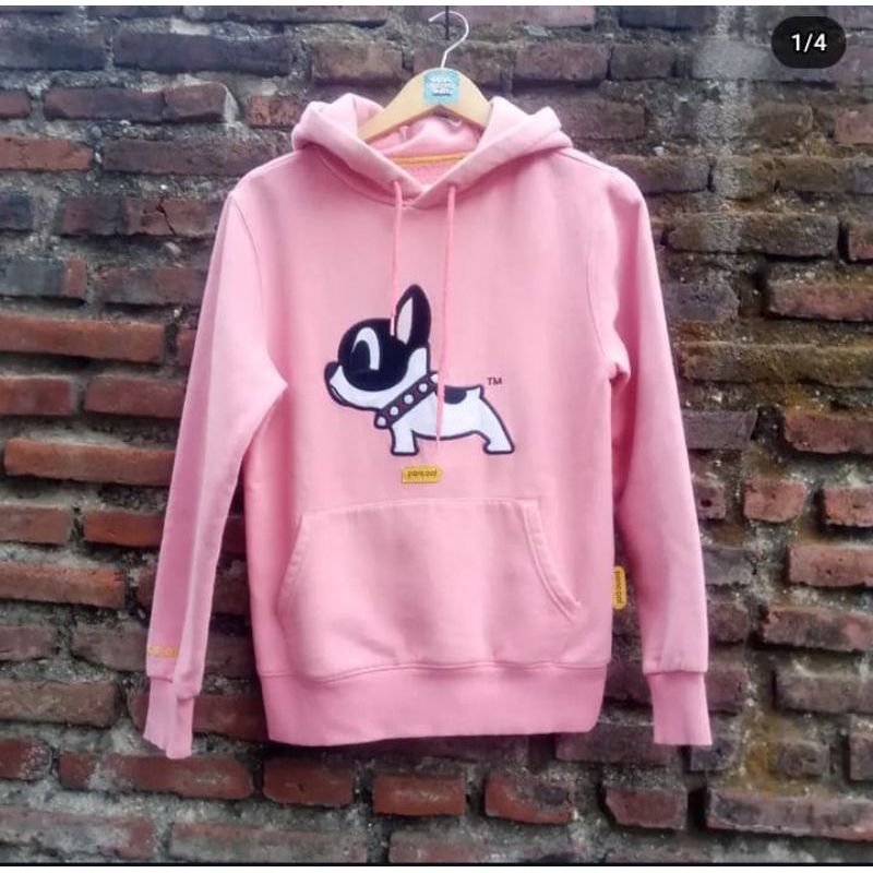 Hoodie pancoat dog