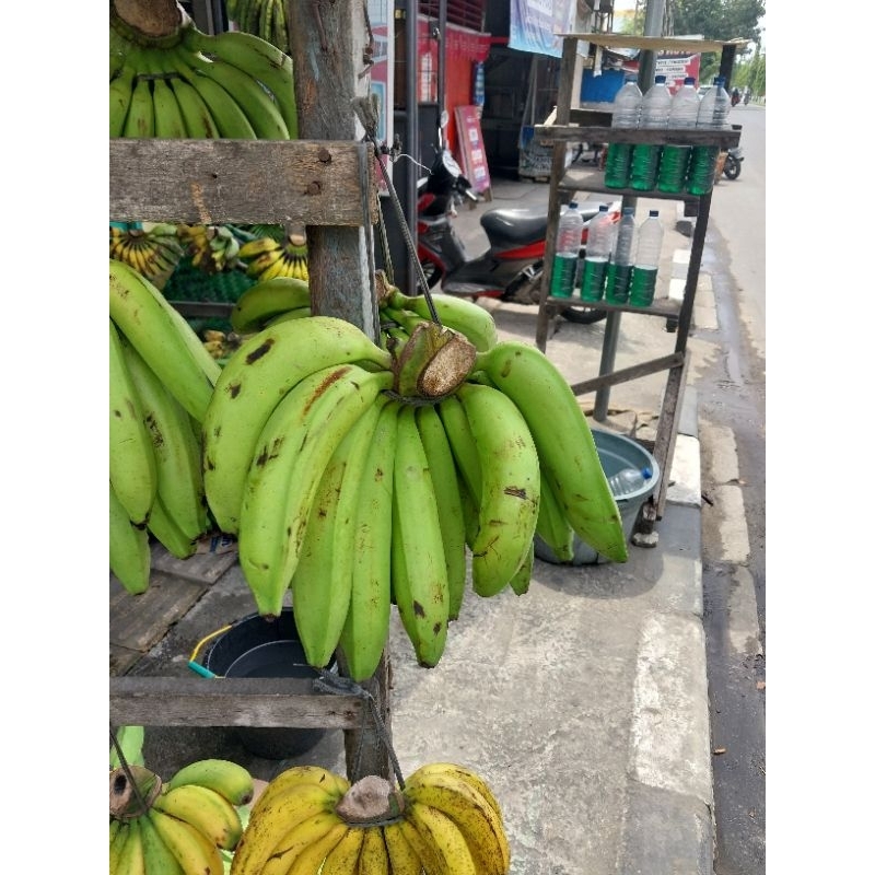 

Pisang Ambon