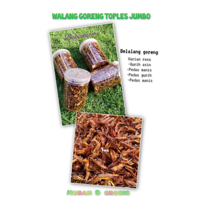 

BELALANG GORENG gurih walang kecil belalang sawah murah snack nyemil