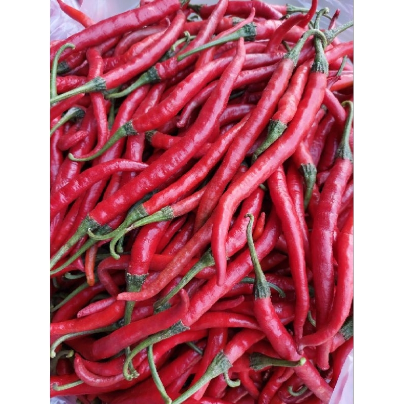 

Cabe Keriting 500gram