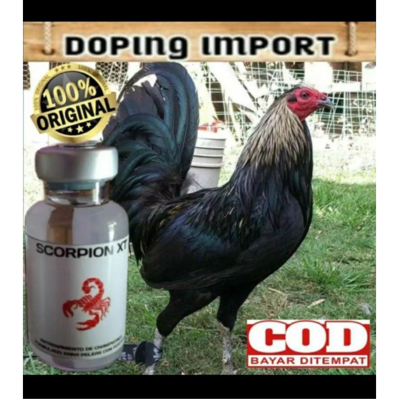 TERBAIK DOPING AYAM TAJI