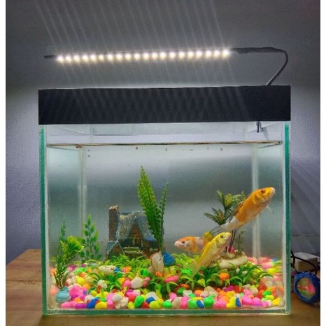 Ready Update  2 mata led putih super terang lampu Aquarium aquscape jepit usb 5 volt