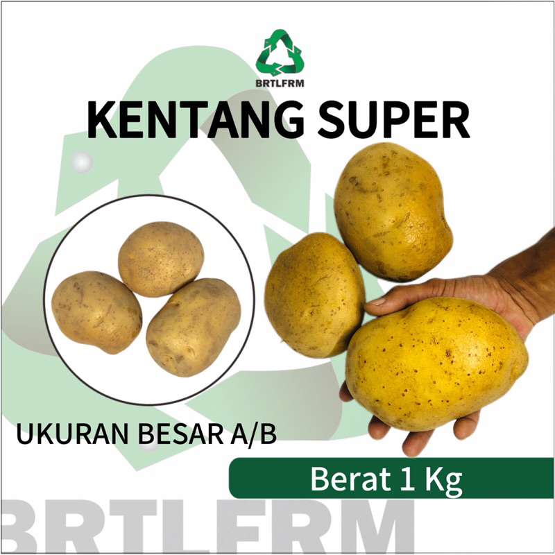 

KENTANG BESAR/SUPER GRADE A/B 1KG