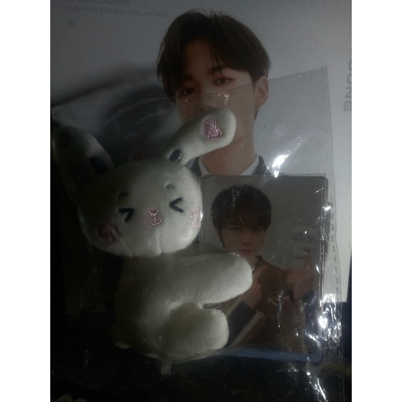 FUNNY TREASURE BBIRO BIRO PHOTOCARD HOLDER FULSET DOLL DOYOUNG SEALED