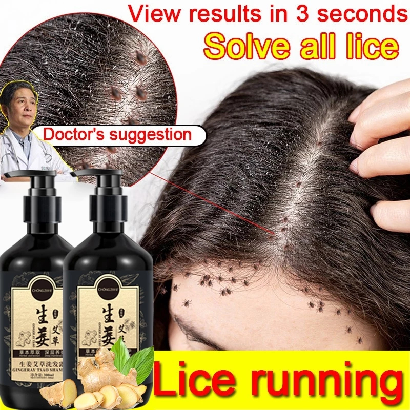 Sampo Anti Ketombe Sampo Ketombe Shampo Kutu Rambut 300ml Ginger Shampoo Herbal Penumbuh Rambut Sham