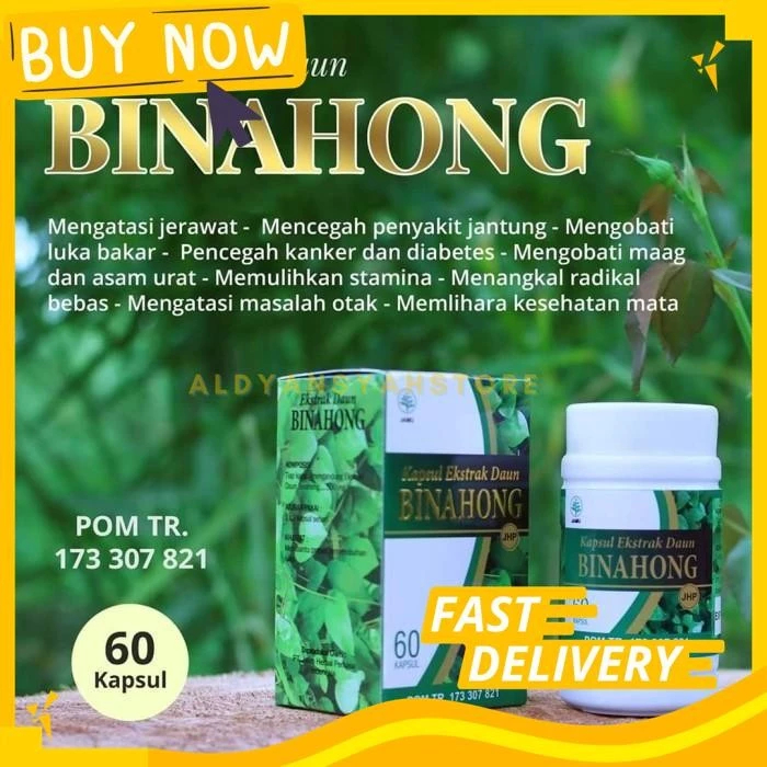 BINAHONG ORIGINAL KAPSUL DAUN BINAHONG HERBAL