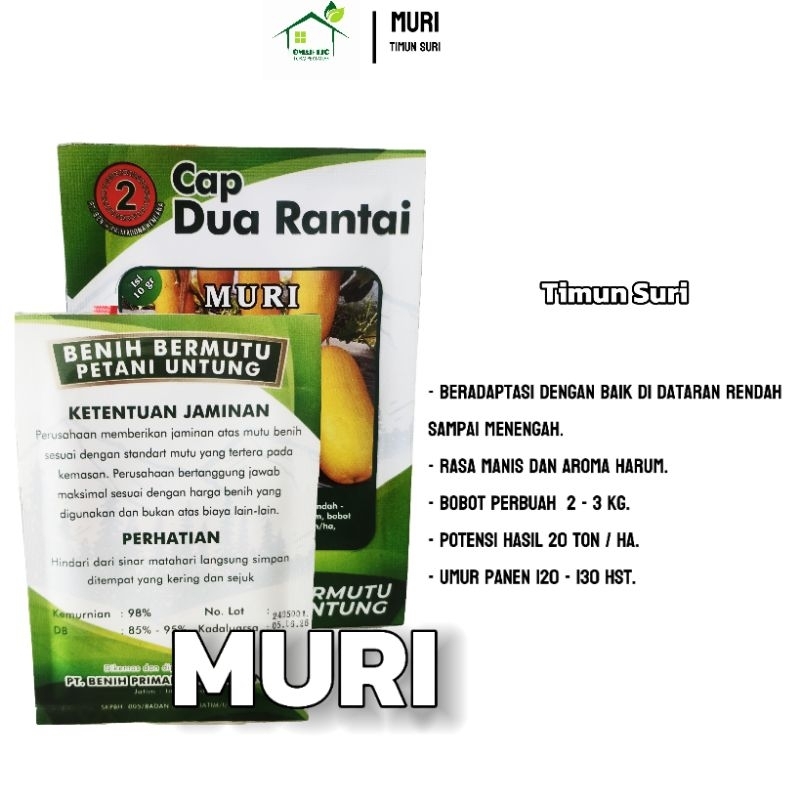 

Timun Muri 10gr Timun Suri Unggulan Cap Dua Rantai