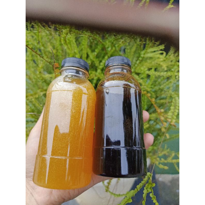 

madu ternak itam