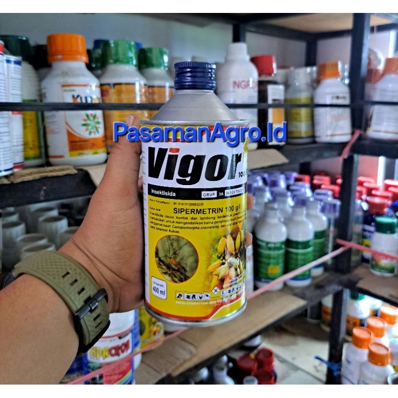 INSEKTISIDA VIGOR 100 EC - 400 ML