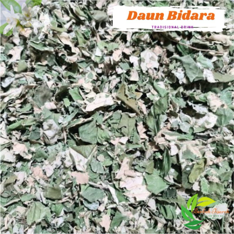 

100gr Teh Daun Bidara Murni Kering Kualitas Bagus