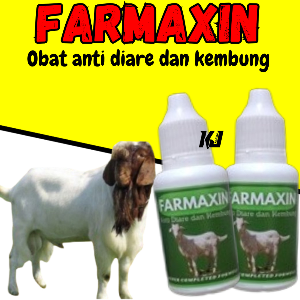 Obat Kembung Mencret Kambing Domba